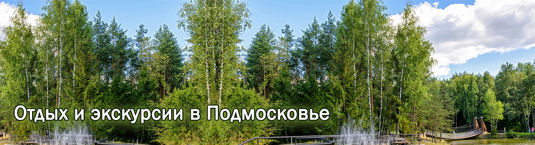 exhibition, mice, seminar, meetings